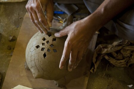 Another Indian Star Tortoise shelling out, traditional Kachchhi style 🤘🏽 #atortoisetaughtus