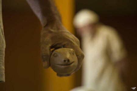 Head's out #atortoisetaughtus